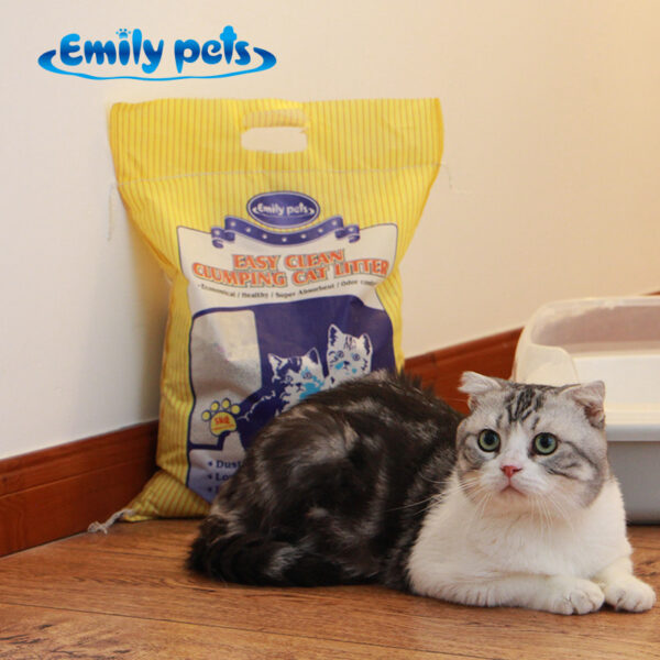 ⁦Low Dust Cat Litter Wholesale Supplier — Bulk & OEM from Emily, Dalian China⁩ - الصورة ⁦3⁩