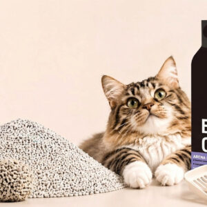 wholesale cat litter