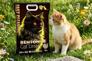 what is cat litter made of